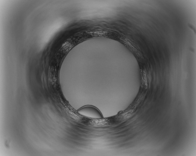 X0000100420526200806201825