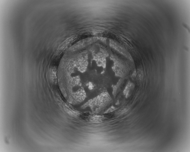 X0000100420527200806201825