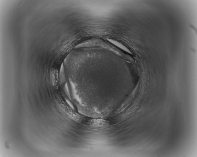 X0000100420528200806201825