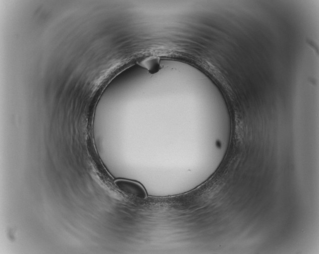X0000100420530200806201825