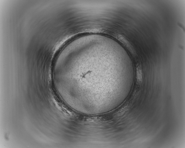 X0000100420532200806201825