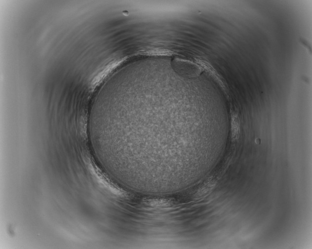 X0000100420533200806201825