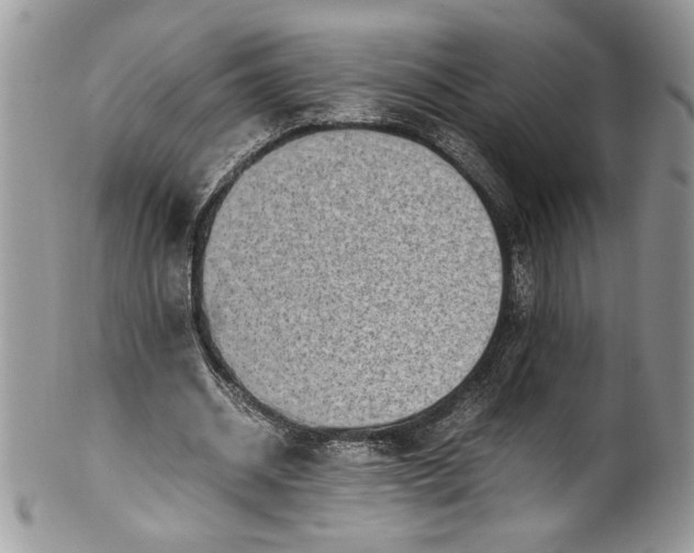 X0000100420534200806201825