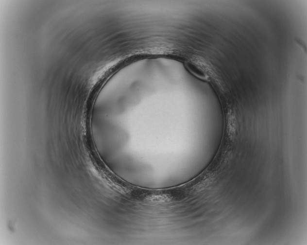 X0000100420536200806201825