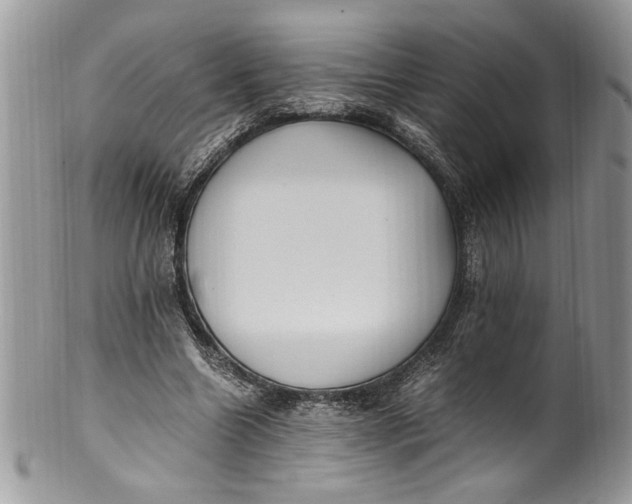 X0000100420538200806201825