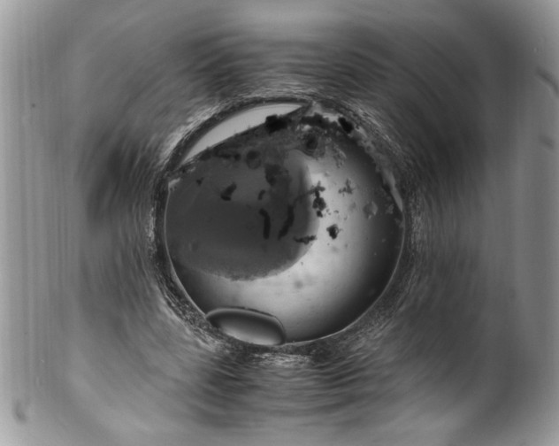 X0000100420539200806201825