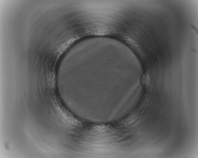 X0000100420540200806201825