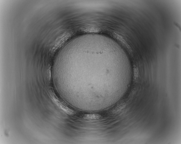 X0000100420541200806201825