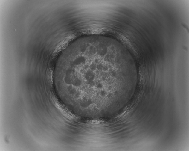 X0000100420542200806201825
