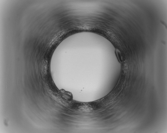 X0000100420544200806201825
