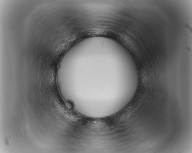 X0000100420546200806201825