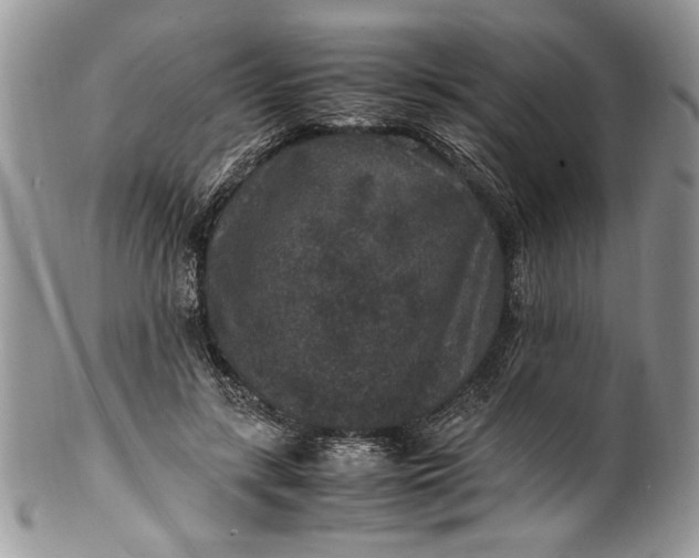 X0000100420547200806201825