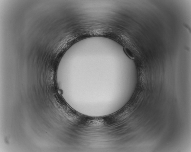 X0000100420548200806201825