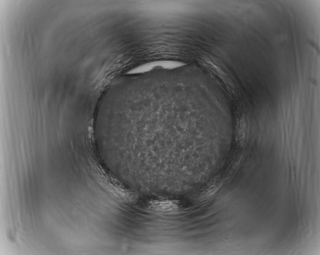 X0000100420553200806201825
