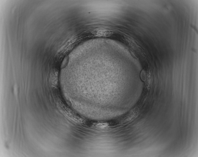 X0000100420554200806201825