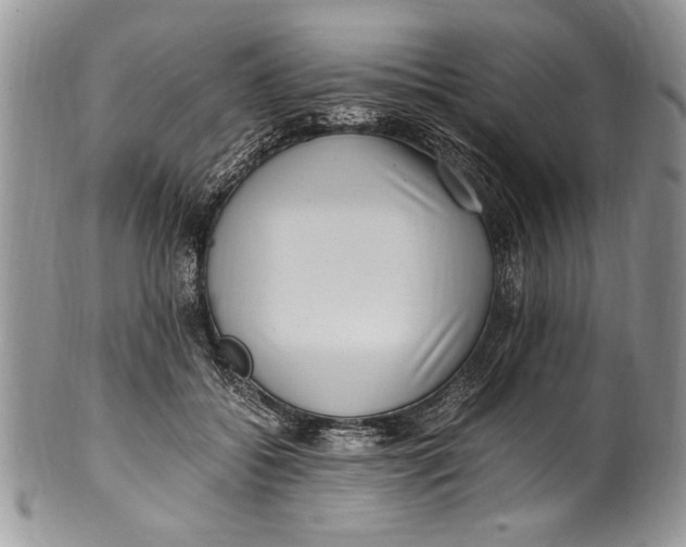 X0000100420556200806201825