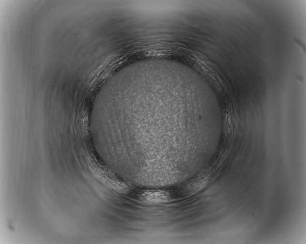 X0000100420557200806201825