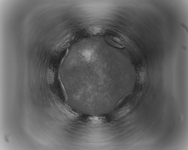X0000100420558200806201825