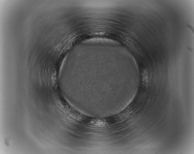 X0000100420559200806201825