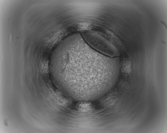 X0000100420560200806201825