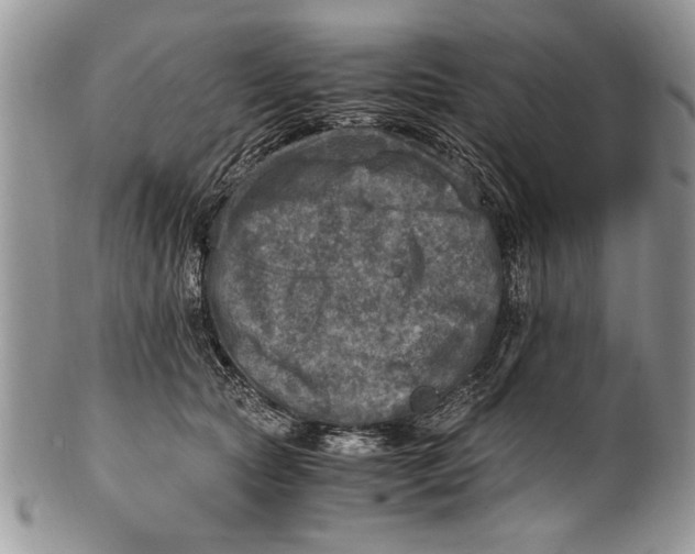 X0000100420561200806201825