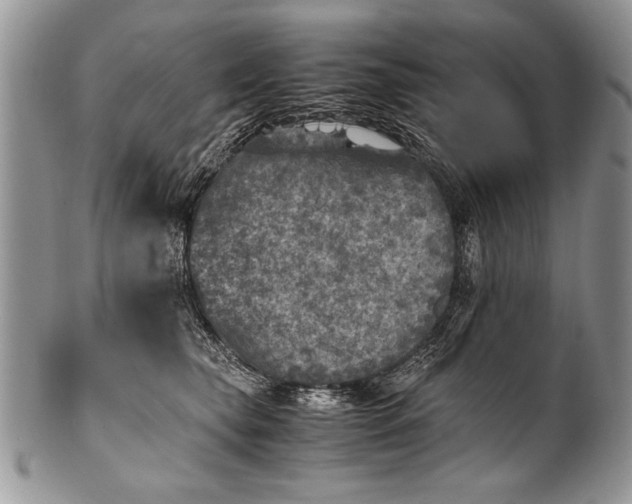 X0000100420565200806201825