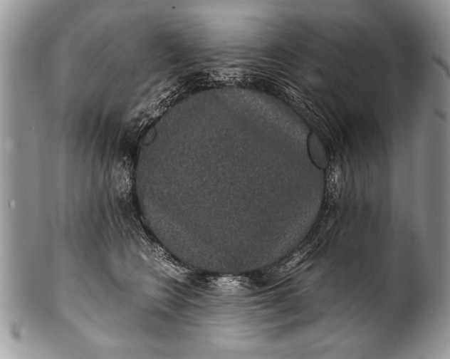 X0000100420566200806201825
