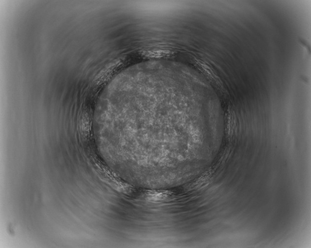 X0000100420569200806201825