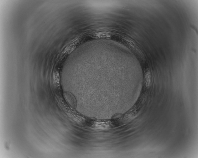 X0000100420571200806201825