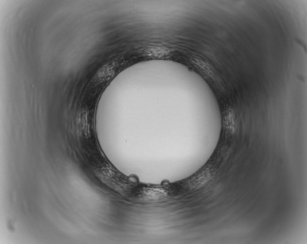 X0000100420572200806201825
