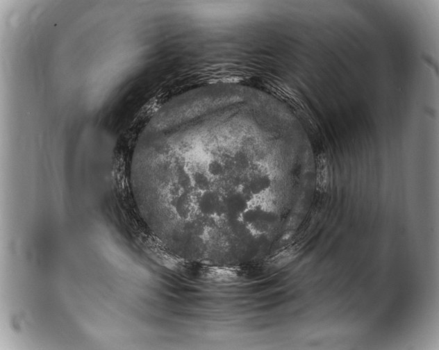 X0000100420573200806201825