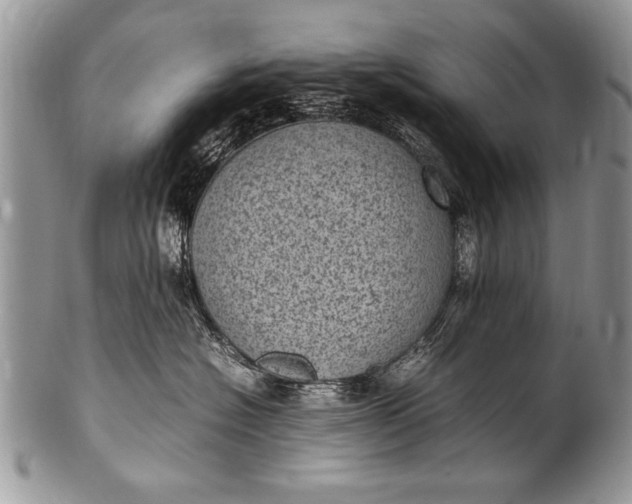 X0000100420574200806201825