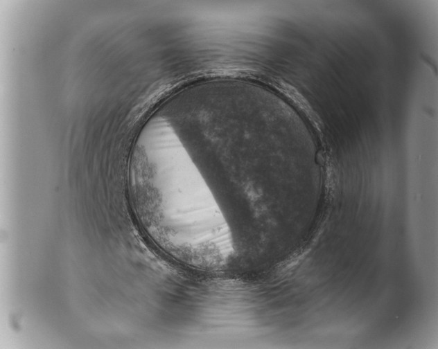 X0000100420577200806201825