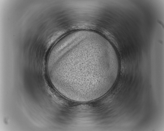 X0000100420578200806201825