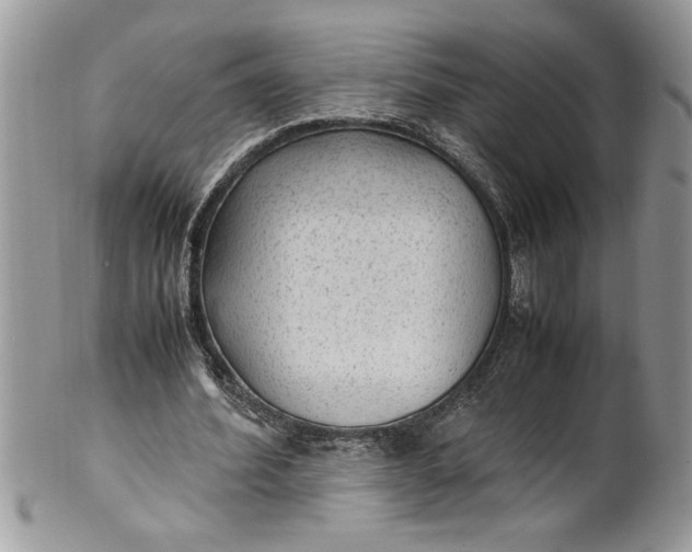 X0000100420580200806201824