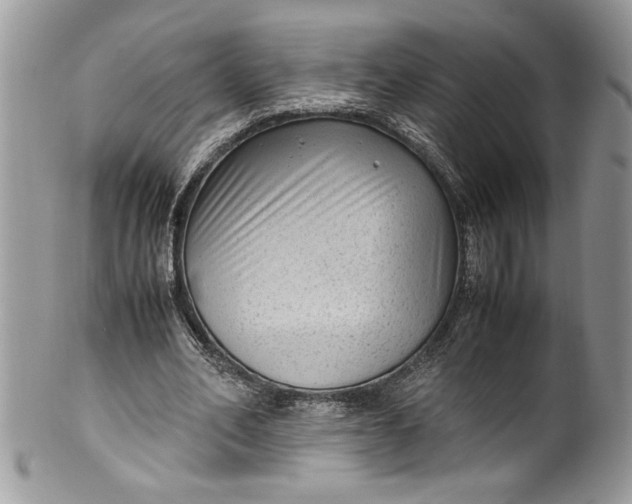 X0000100420582200806201824