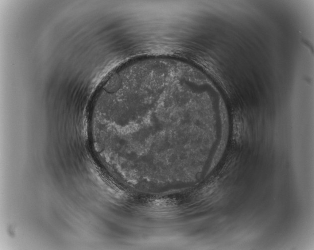X0000100420584200806201824