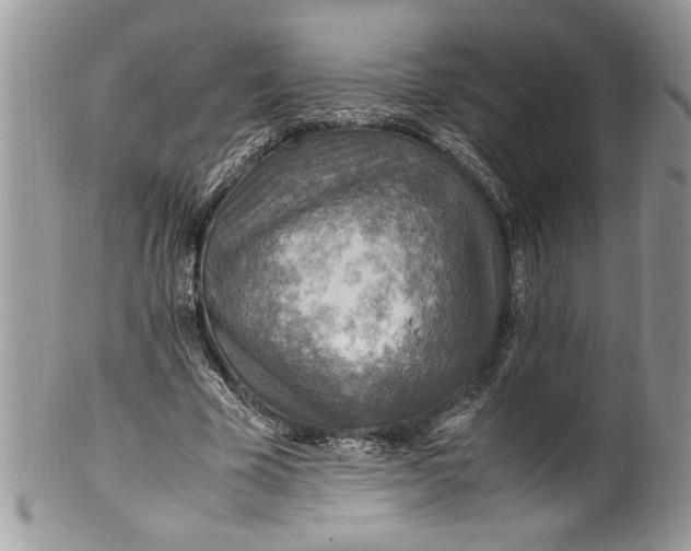 X0000100420585200806201824
