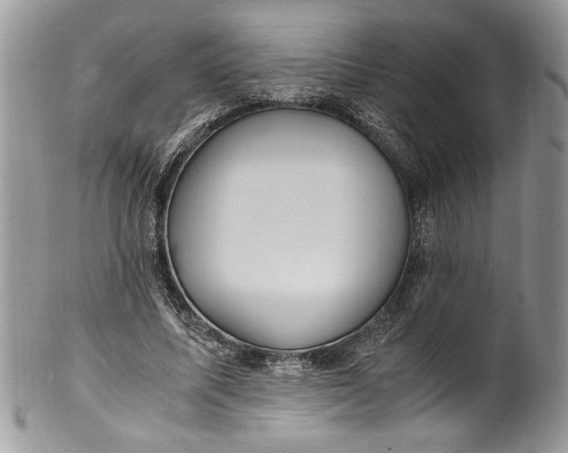X0000100420587200806201824
