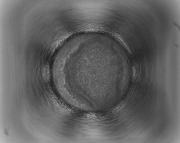 X0000100420588200806201824