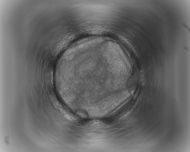 X0000100420589200806201824