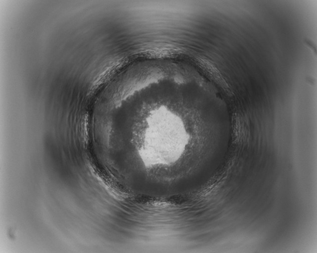 X0000100420590200806201824