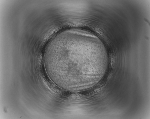 X0000100420591200806201824
