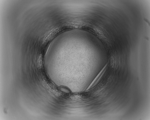 X0000100420594200806201824