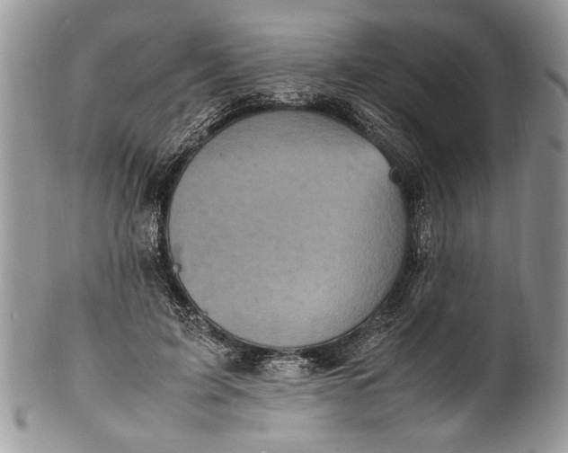 X0000100420595200806201824