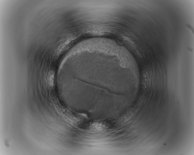 X0000100420596200806201824
