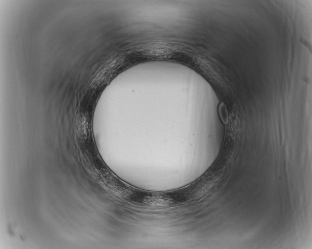 X0000100420597200806201824