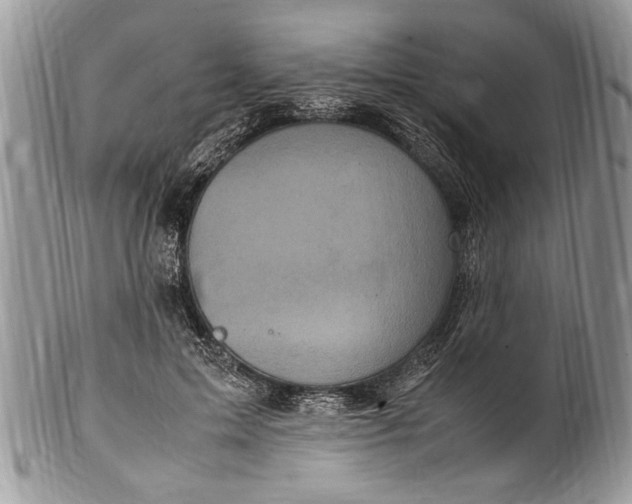X0000100420599200806201824