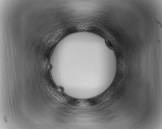 X0000100420601200806201824
