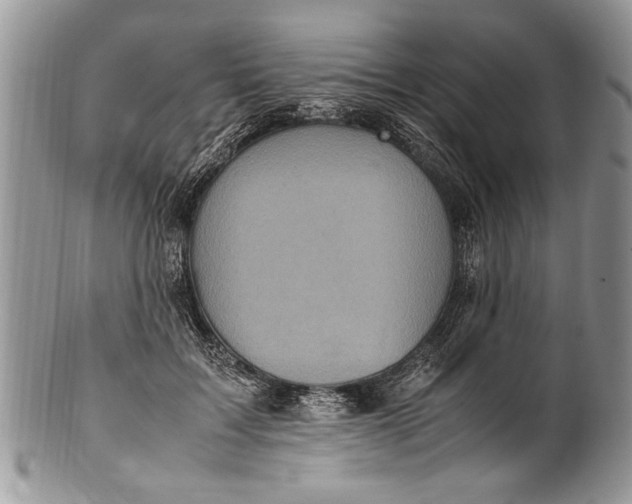 X0000100420603200806201824